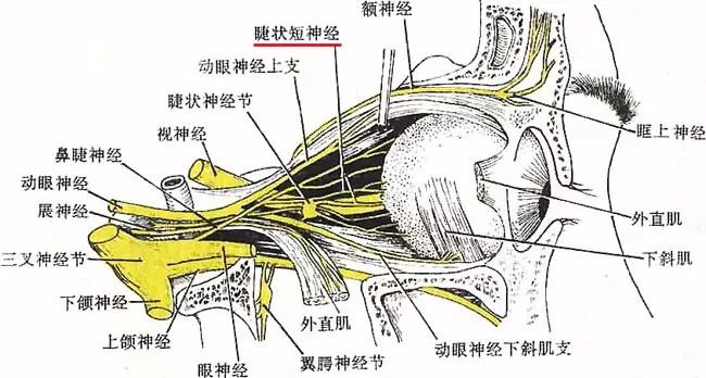 辣眼睛了什么意思,用护肤品辣眼睛是怎么回事