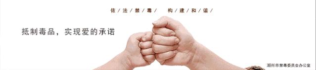 2021湖州德清中考高中录取分数线,湖州私立高中分数线