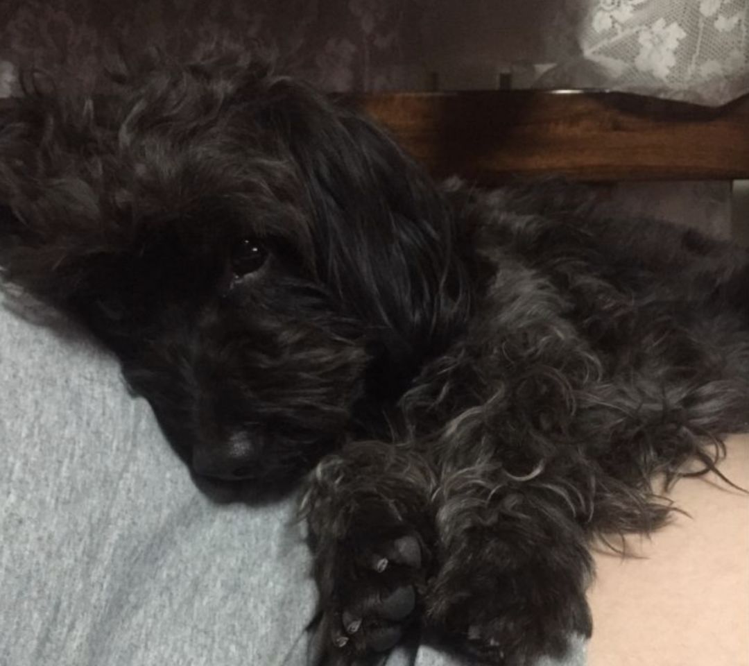 我终于战胜了抑郁症,感谢医生治好了抑郁症