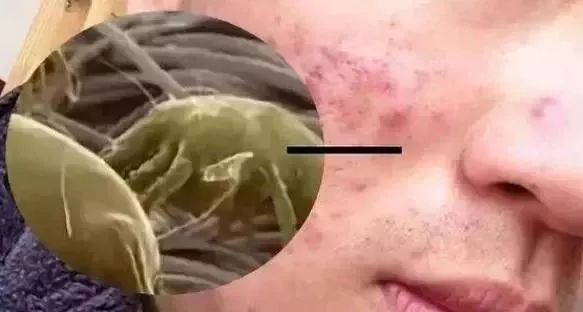 给长乐公主准备嫁妆比彩礼多,长乐女结婚嫁妆一般多少