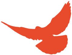 交通事故第三者商业险赔偿范围内,交通事故第三者责任险的范围