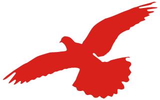 辉煌70载，娃娃送华章——我区举行喜迎建国七十周年消夏晚会