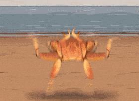 鱼丸是鱼蛋么,鱼丸里面为什么没有鱼