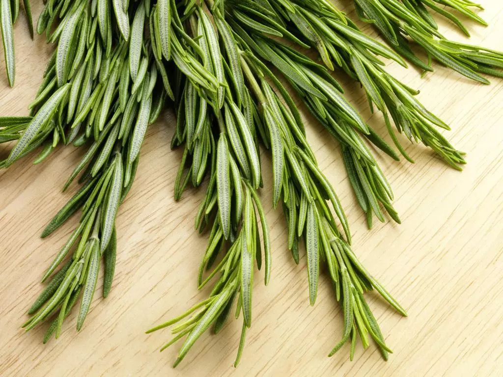 真正好用的洗发神器,一款超级好用的洗头神器