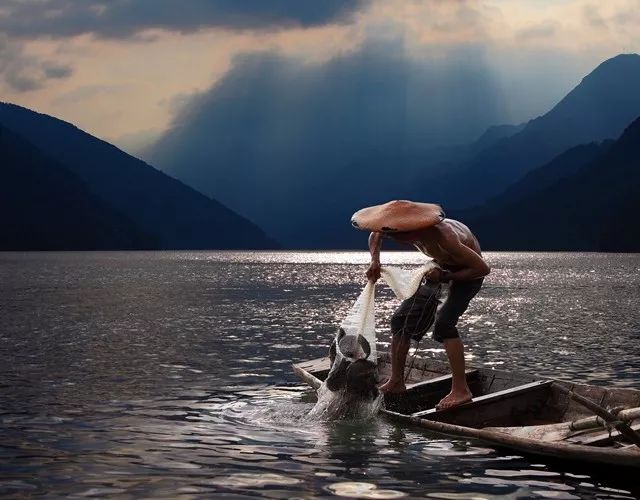 长阳城,长阳向阳花开