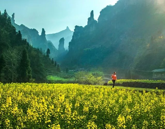 长阳城,长阳向阳花开