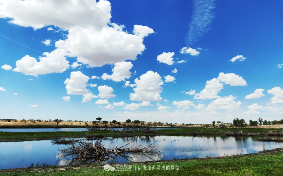 东道海子,东道海子最新