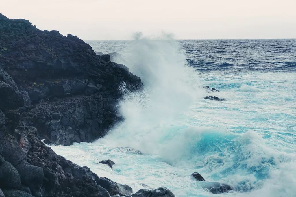 日本确定3月1日开放入境吗,日本开放办理工作签证的最新消息