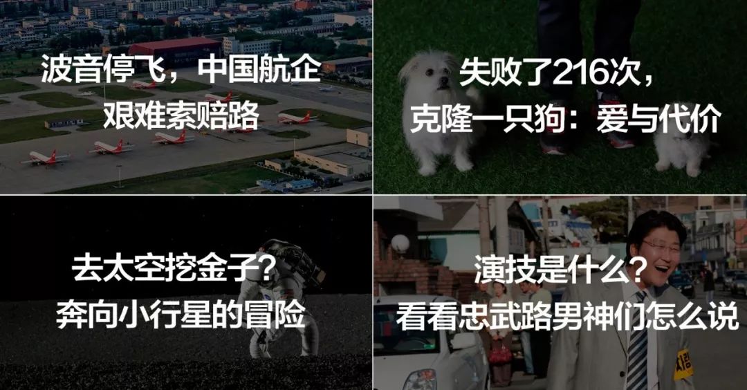 对于宠物死亡最美好的诠释,宠物的生命一样值得好好对待