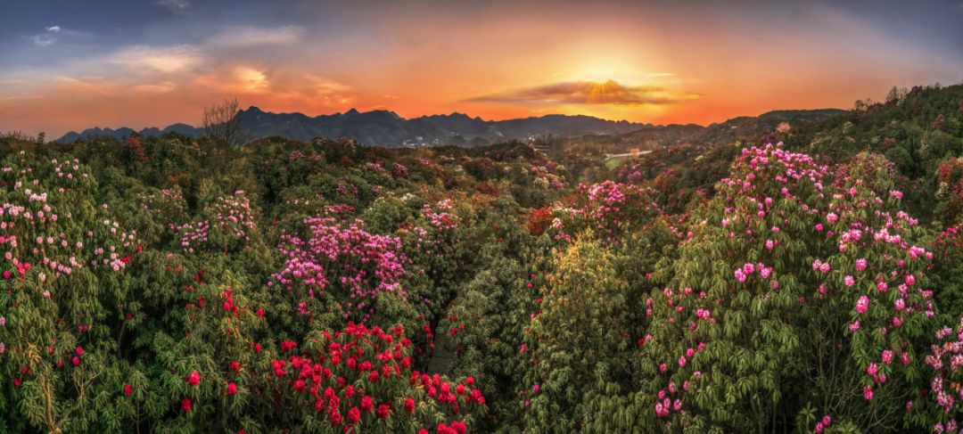 推荐秋季贵州旅游10个最美目的地,贵州被评为十佳旅游目的地