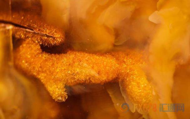 金价看涨情绪持续攀升,金价上涨提振黄金股表现