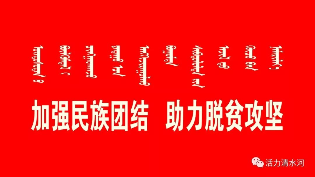 好消息丨北京林洪生工作室知名专家团队赴清水河县中蒙医院义诊
