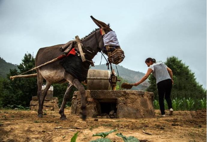 丁可中文歌词,丁可英文咋说