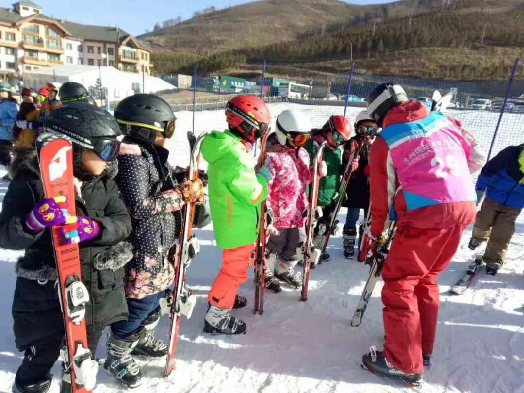 张家口桥西南菜园小学好吗,张家口南菜园小学