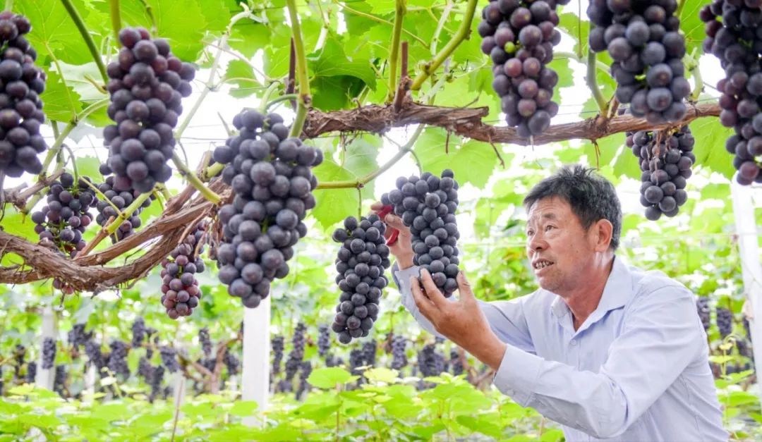 六月光影,六月湖州景色