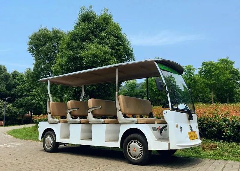 醉美荷花季,醉美荷花花海图片