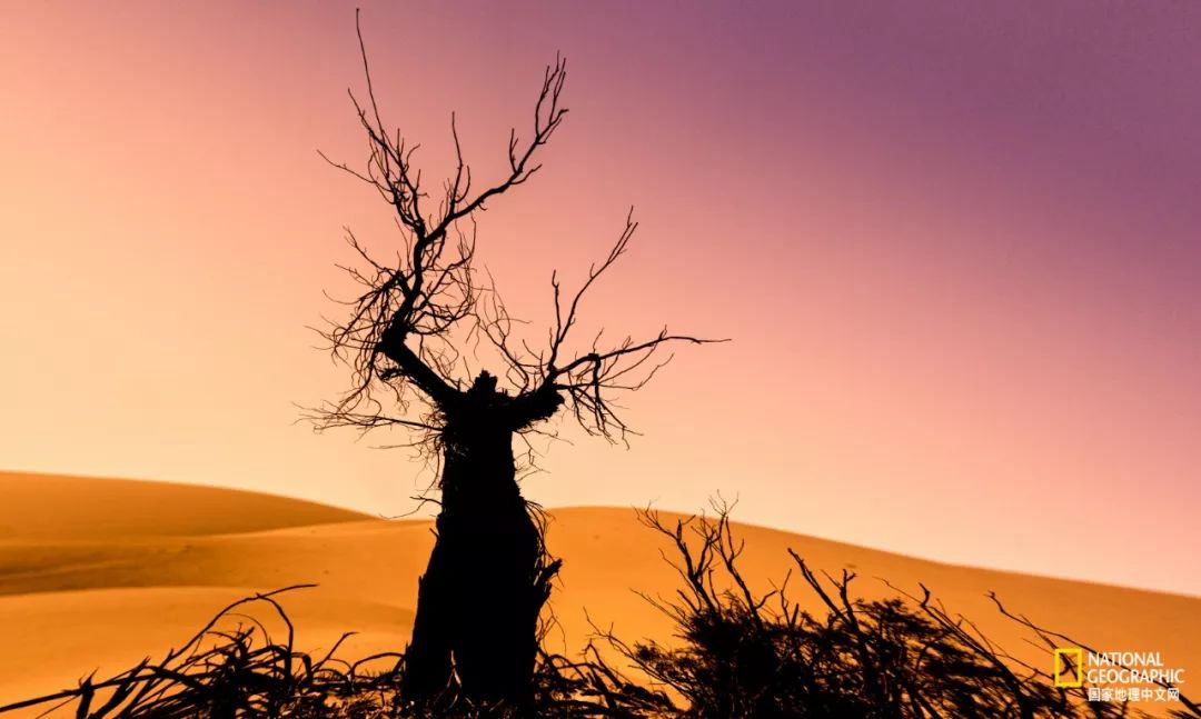 热爱摄影热爱跑步热爱生活,如果你热爱拍照