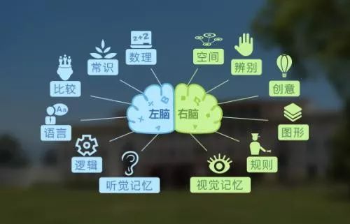 记忆力训练方法最强大脑记单词,高效背单词快速记忆技巧