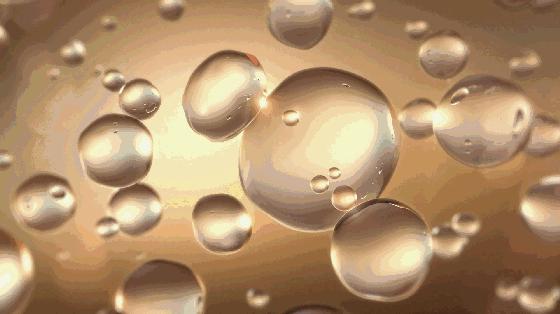 谁说只有美容有？时装也有成分*党**