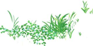 直道相思了无益完整诗句,那些相思入骨的绝美诗句