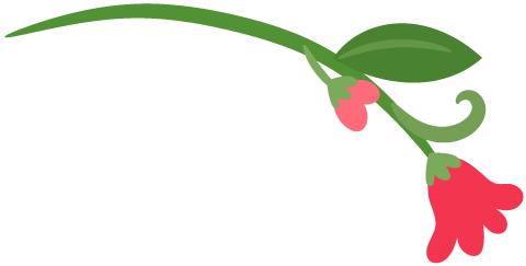 枫亭千年古镇,枫亭古镇