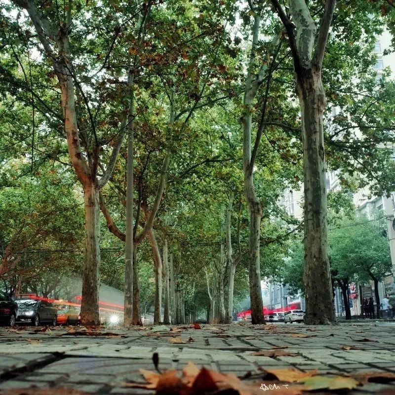 原来，西安还有这样一条“宝藏路”：友谊路