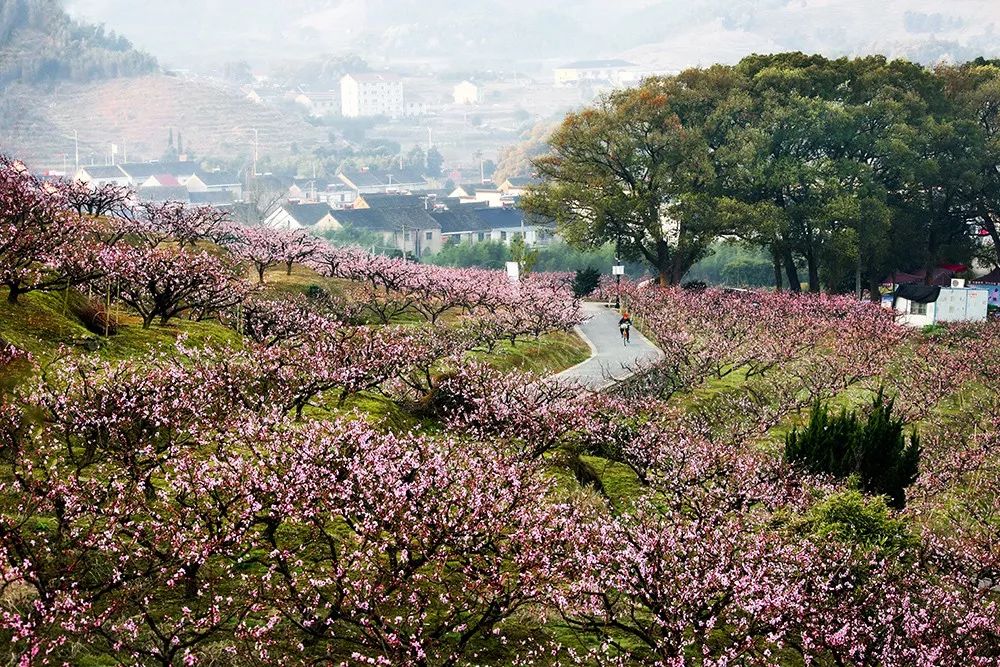 奉化人文与美景的交汇,奉化溪口有多美