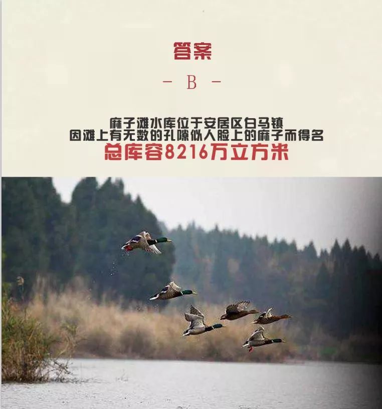 你想象中的遂宁,带你了解遂宁