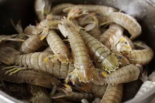 日照有什么好玩的地方,日照金山