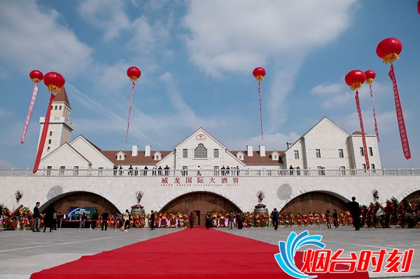 威龙有机葡萄酒优级,威龙葡萄酒高端