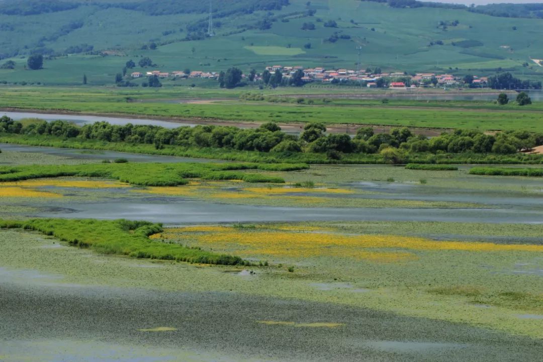 2.5浜垮勾鍚庣殑鍦扮悆鍙樺寲,涓滃寳鐏北鎬庝箞鍙樻垚绮粨