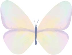 阿里和网易,阿里崩了是否存在恶意竞争