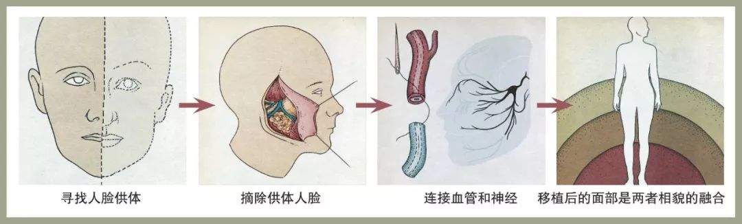 人脸移植p图,人脸迁移新技术