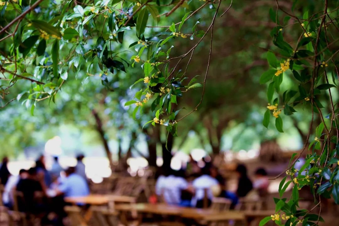 元稹十首千古绝诗,元稹千古佳句