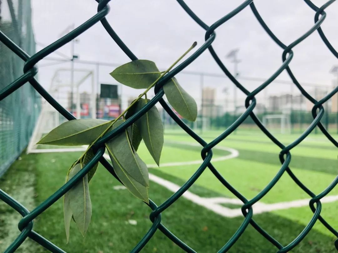 西安国际足球体育场,西安国际足球中心有多震撼