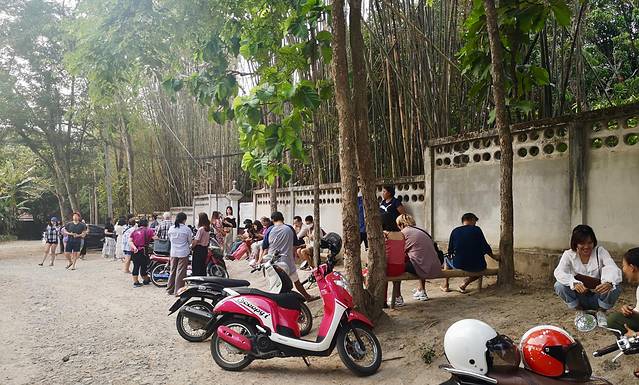 清迈漫游,清迈4天行程