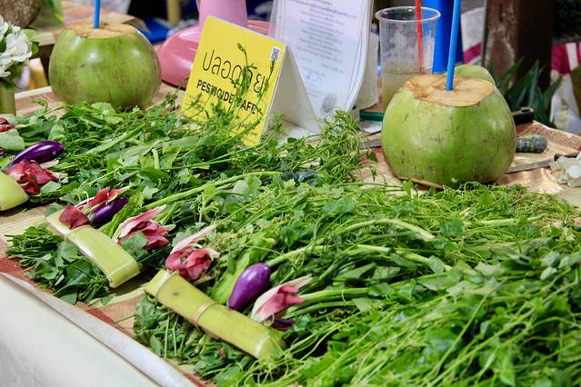 泰国清迈国际漫游,清迈旅游四天三晚