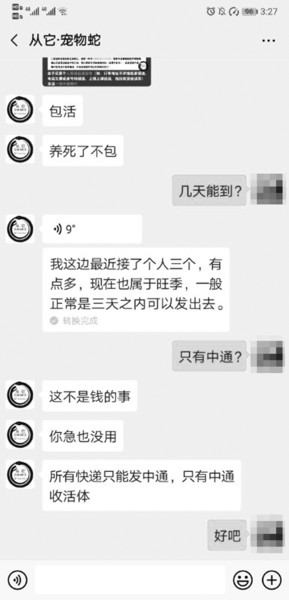 网上卖的松鼠宠物靠谱吗,网上卖松鼠违法吗