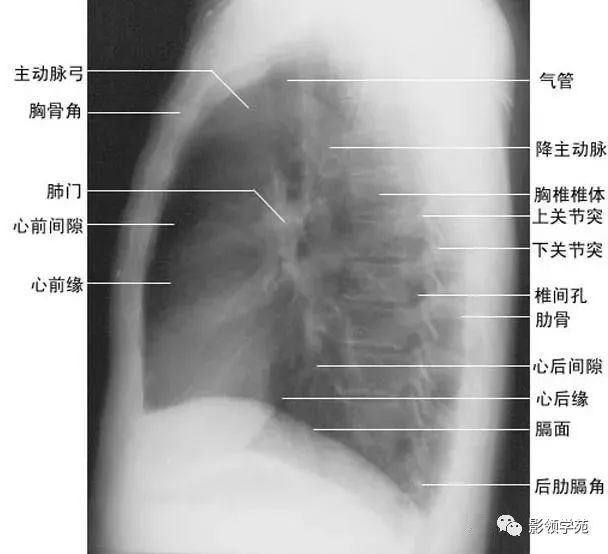 小学学霸学习方法大揭秘,小学学霸学习时间表