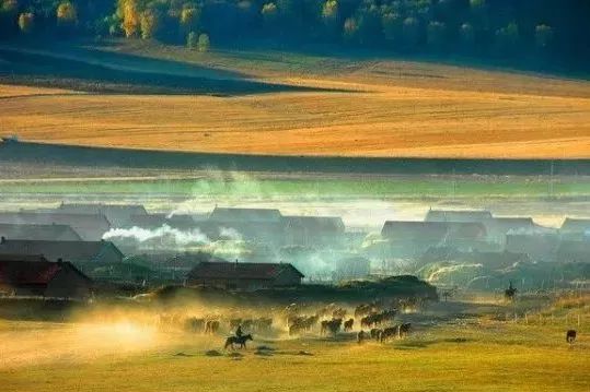 邳州广电直播间,邳州广电直播