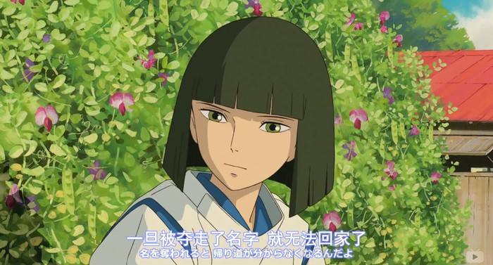 千与千寻忘记了自己的名字,千与千寻中白龙的名字是叫什么