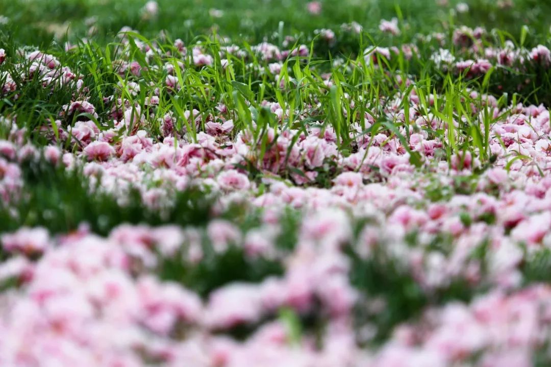 厦门青岛之旅,出行去厦门
