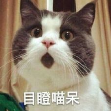 电动车能载200多斤吗,电动车能上牌为什么说超重