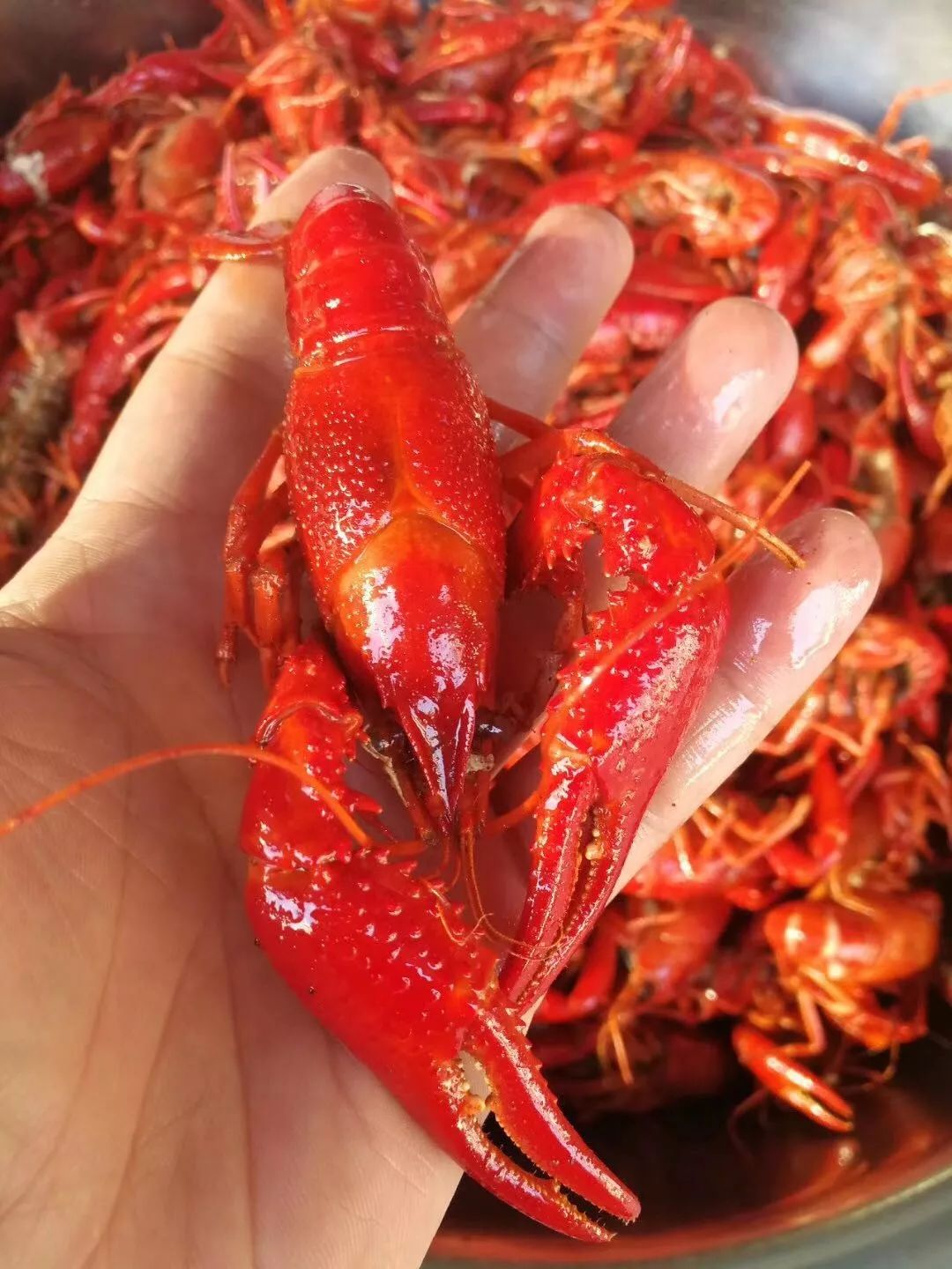 柳州每月工资5000,柳州平均工资标准