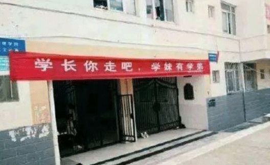 催人泪下的毕业横幅,本科毕业典礼横幅