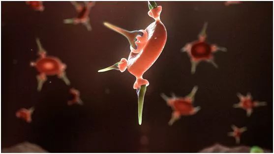 手术两百年分集剧情,手术两百年外科