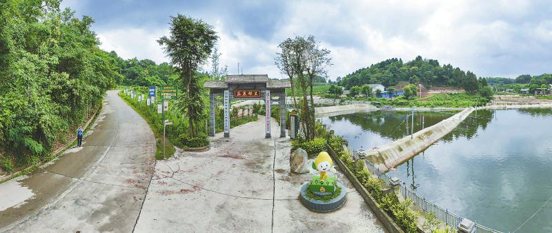 全国农民工返乡创业经验交流,农民工从打工潮到返乡潮