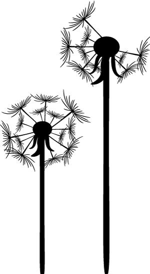 天津科技馆与天津英华国际学校签署馆校共建协议