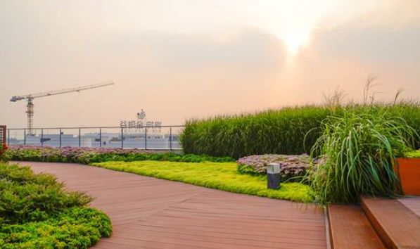 90后的网红设计师,景观设计著名设计师