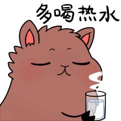 炎热的夏天冷饮还是热饮比较解暑,夏季喝热饮比冷饮更解暑